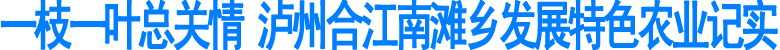 一枝一叶总关情&nbsp;泸州合江南滩乡发展特色农业记实