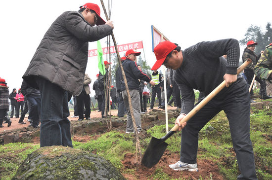泸州纳溪&nbsp;今春义务植树100万棵(图2)