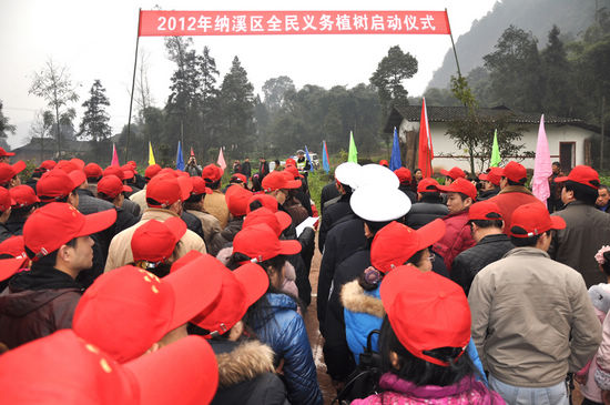 泸州纳溪&nbsp;今春义务植树100万棵(图1)