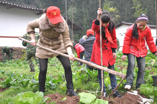 泸州纳溪&nbsp;今春义务植树100万棵(图3)