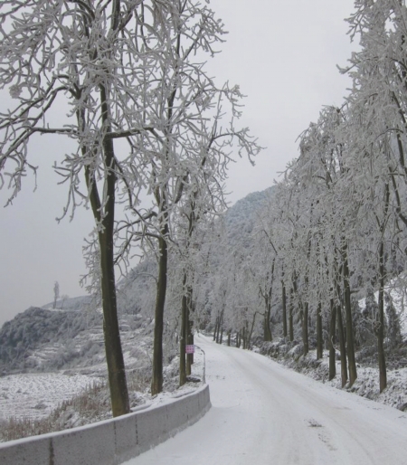 泸州遭遇冰凌天气&nbsp;叙赤路限时交通管制(图2)