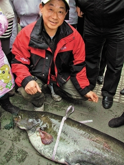 内江一钓鱼爱好者钓起58斤重巨型鲶鱼(图1)