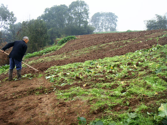 白米乡：万亩粮食增产示范基地拉开春耕大幕(图1)