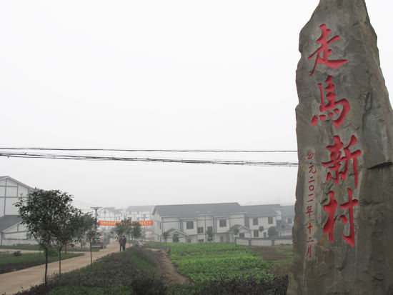 泸州市综合目标检查组到特兴镇检查新农村建设工作