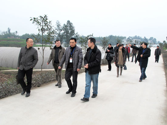 泸州市综合目标检查组到特兴镇检查新农村建设工作(图2) 泸州市综合目标检查组到特兴镇检查新农村建设工作(图2)