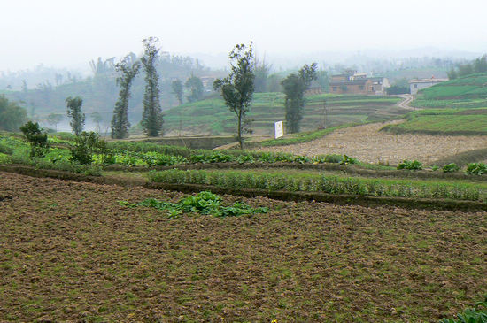 牛滩镇:创先争优谋发展 抗旱减灾保春耕(图1) 牛滩镇:创先争优谋发展 抗旱减灾保春耕(图1)