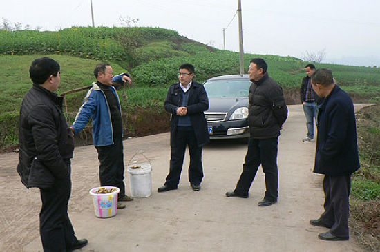 牛滩镇:创先争优谋发展 抗旱减灾保春耕(图2) 牛滩镇:创先争优谋发展 抗旱减灾保春耕(图2)