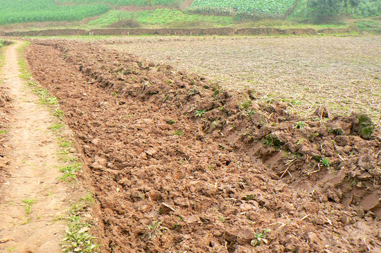 牛滩镇:创先争优谋发展 抗旱减灾保春耕(图6) 牛滩镇:创先争优谋发展 抗旱减灾保春耕(图6)