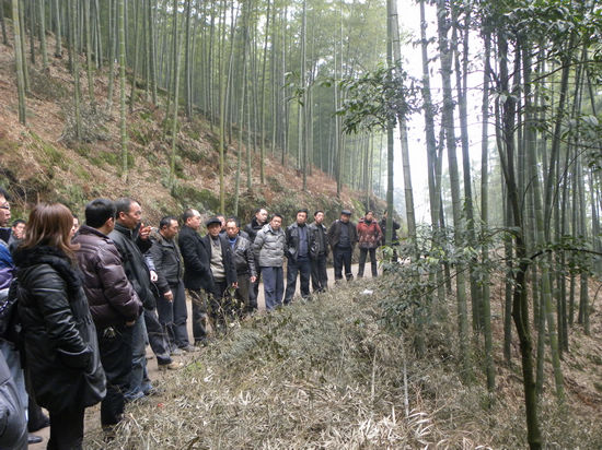 黄坭乡:组织乡村社干部到水尾镇学习考察(图2) 黄坭乡:组织乡村社干部到水尾镇学习考察(图2)
