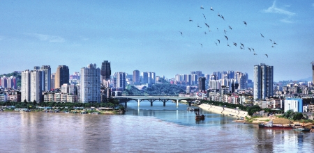 畅谈酒城文化和未来：酒是泸州的名片和荣耀(图1)