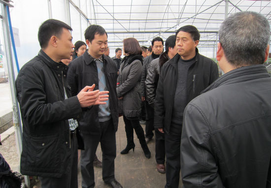 江阳区政协主席周宗华一行调研华阳街道(图2) 江阳区政协主席周宗华一行调研华阳街道(图2)