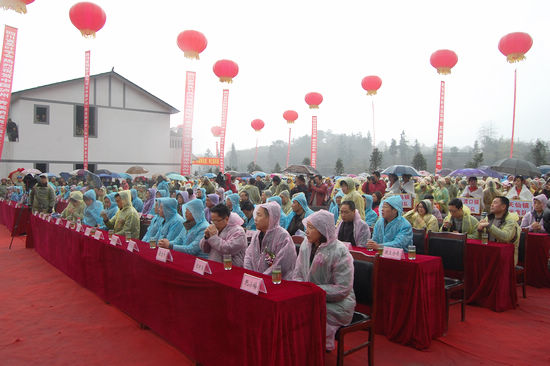 “纳溪特早茶”获国家地标授牌&nbsp;全省唯一(图2)