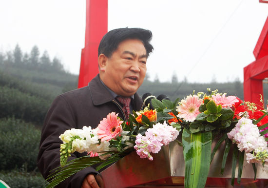 “纳溪特早茶”获国家地标授牌&nbsp;全省唯一(图9)