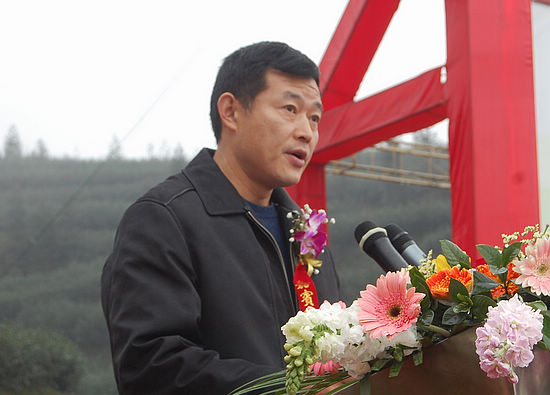 “纳溪特早茶”获国家地标授牌&nbsp;全省唯一(图5)