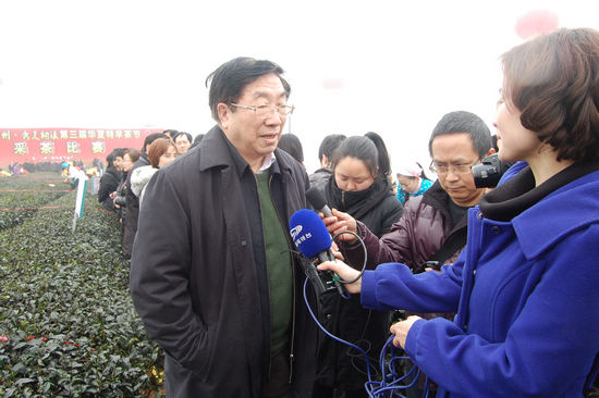 “纳溪特早茶”获国家地标授牌&nbsp;全省唯一(图14)