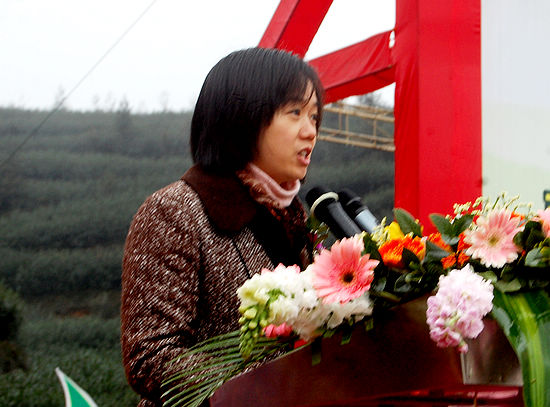 “纳溪特早茶”获国家地标授牌&nbsp;全省唯一(图7)