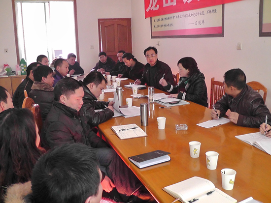 龙山镇召开农经研讨会(图1)