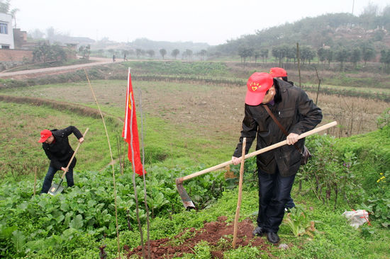 龙马潭区国税局积极开展义务植树活动(图2)