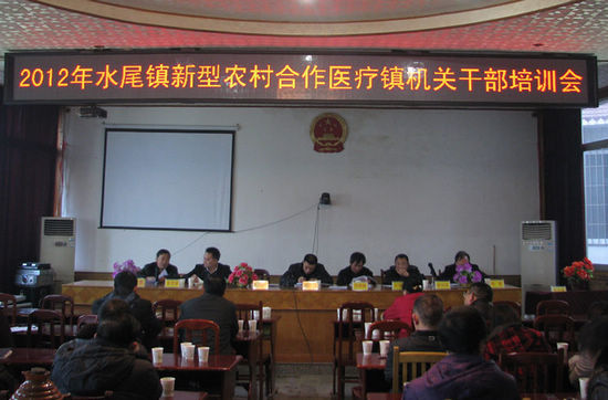 水尾镇：集中学习新型农村合作医疗相关政策(图1)