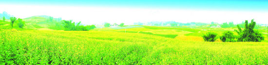 “酒城之美·醉在江阳”十大活动25日启幕(图5) “酒城之美·醉在江阳”十大活动25日启幕(图5)