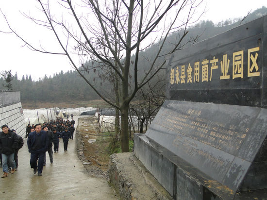 赤水镇：组织干群外出学习新农村建设经验(图6)