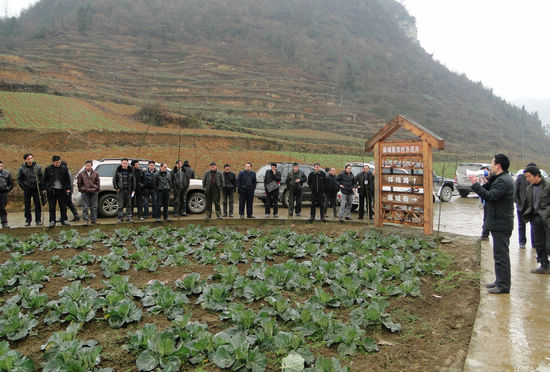 赤水镇：组织干群外出学习新农村建设经验(图3)