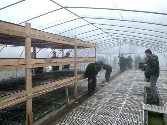 赤水镇：组织干群外出学习新农村建设经验(图4)