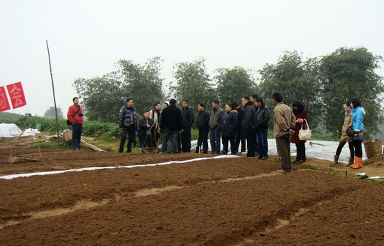白米乡：万亩粮食基地向旱育秧要增产