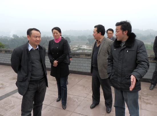 合江县委副书记李宏一行调研大桥镇荔枝产业发展(图1)