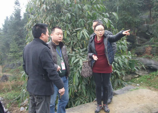 叙永水务局察看落卜镇石漠化治理区域水利建设情况(图1)