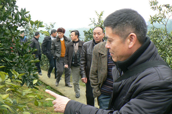 牛滩镇:组织村组干部和种植大户外出“取经”(图1) 牛滩镇:组织村组干部和种植大户外出“取经”(图1)