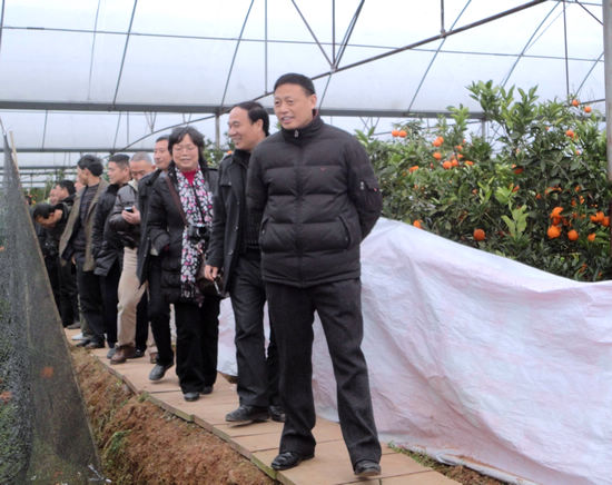 牛滩镇:组织村组干部和种植大户外出“取经”(图2) 牛滩镇:组织村组干部和种植大户外出“取经”(图2)