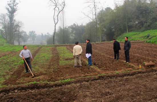 奇峰镇：大春当前忙备耕(图2)
