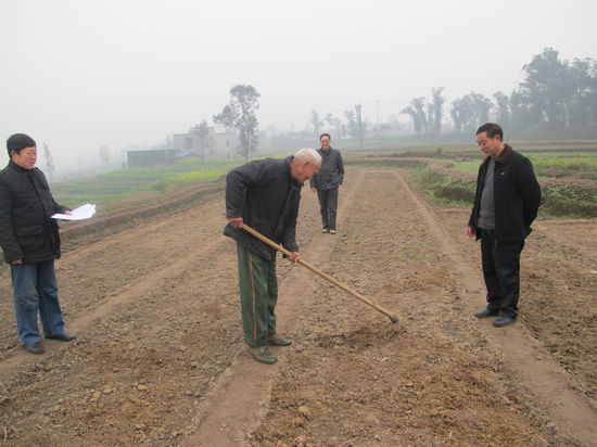 奇峰镇：大春当前忙备耕(图1)