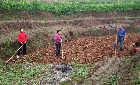 胡市镇：全力抗旱保春耕(图1)