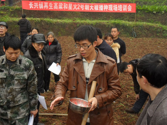 长兴镇：开展春耕生产服务农村活动(图1)