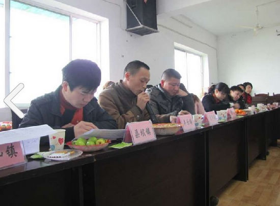 纳溪区召开2012年第一季度新闻宣传工作例(图2)