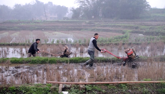 大桥镇：加强指导&nbsp;加大扶持&nbsp;力保春耕(图1)