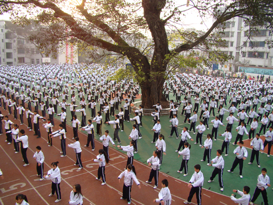 为“教师作家群”专门召开作品研讨会&nbsp;泸州首次(图21)
