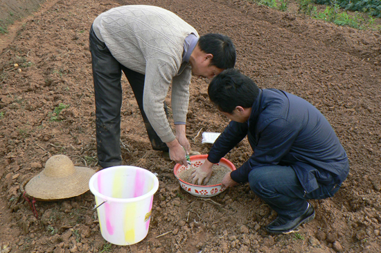 牛滩镇：抓好旱育秧&nbsp;打好第一战(图1)