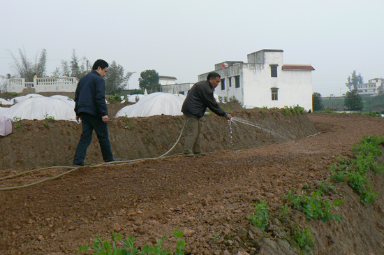 牛滩镇：抓好旱育秧&nbsp;打好第一战(图2)