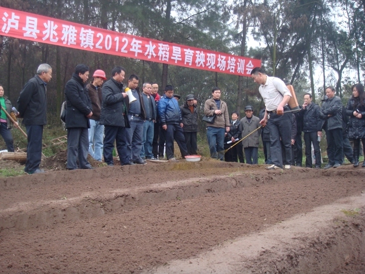 兆雅镇：专家送来“及时雨”(图1)