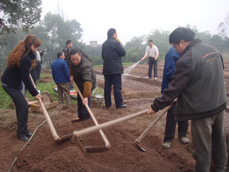 兆雅镇：专家送来“及时雨”(图2)