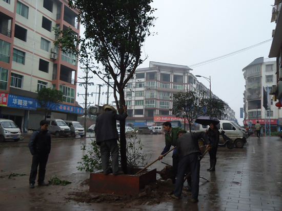 白鹿镇：吹响争创省优冲锋号(图1)