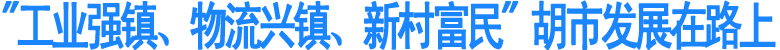 "工业强镇、物流兴镇、新村富民"&nbsp;胡市发展在路上(图1)