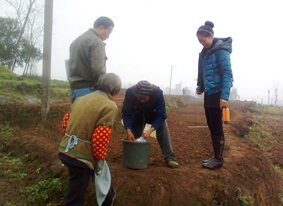 白沙镇：农技人员坚守第一线&nbsp;为春耕保驾护航(图1)