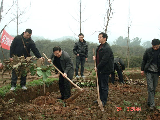 纳溪区计生协开展“科普之春进乡村”植树活动(图2)