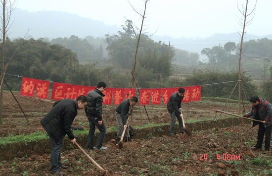 纳溪区计生协开展“科普之春进乡村”植树活动(图1)