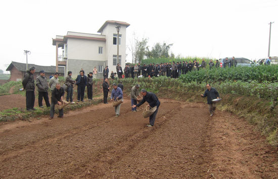 方洞镇:大力发展旱育秧&nbsp;以旱制旱保丰收(图1)