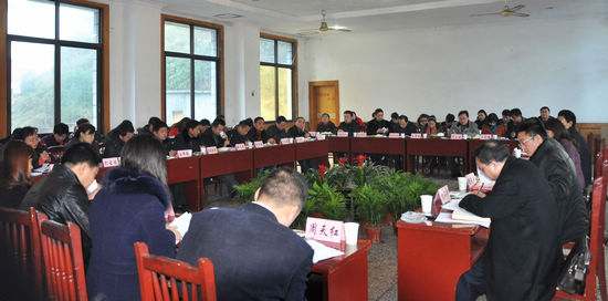 纳溪2012年第一季度组织工作例会在大渡口镇召开(图2) 纳溪2012年第一季度组织工作例会在大渡口镇召开(图2)